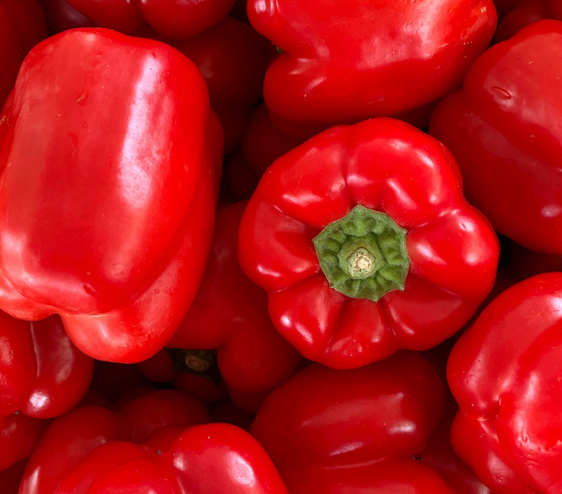 fotografía de ajíes